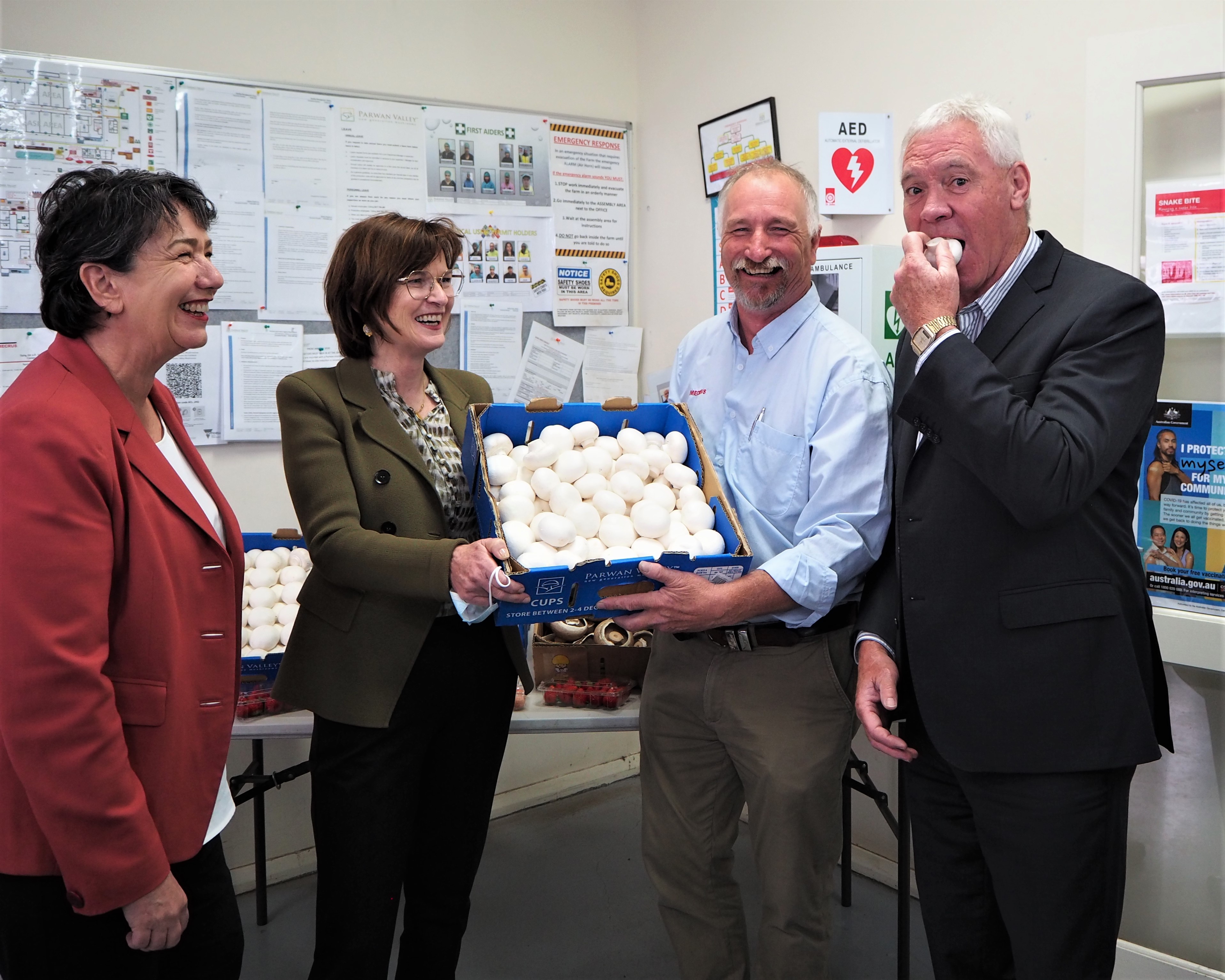 HIGH-TECH SAFETY FOR VICTORIAN MUSHROOM FARM Main Image